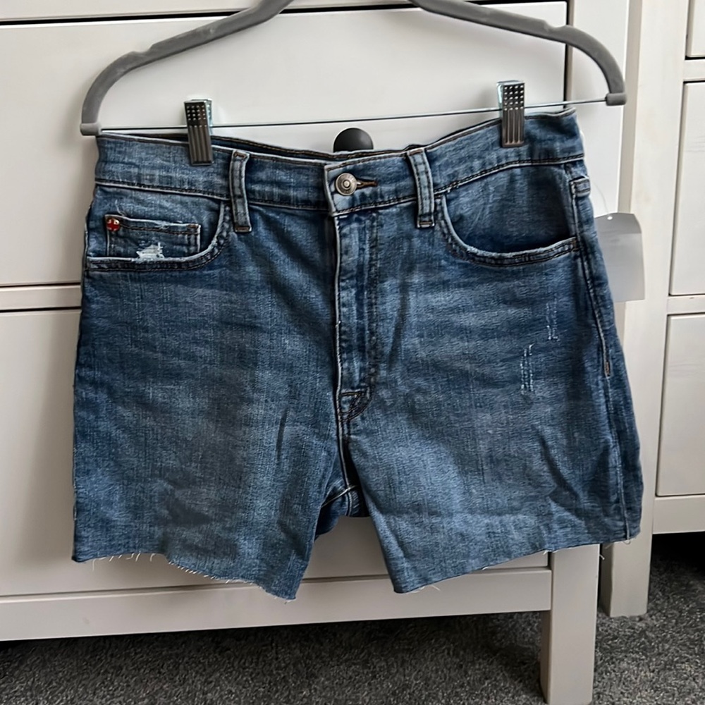 Hudson shorts